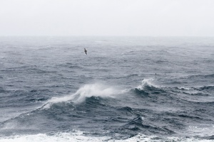 Swells in the Bering Sea